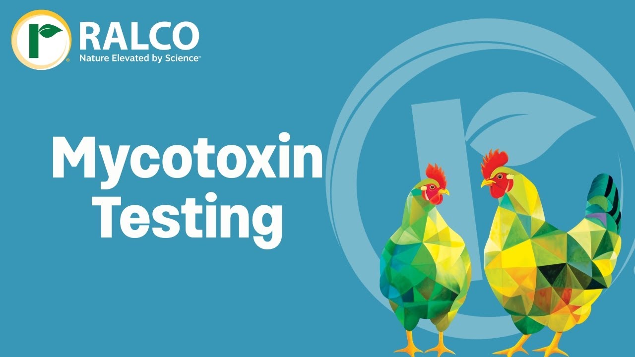 Mycotoxin Testing Services at Ralco