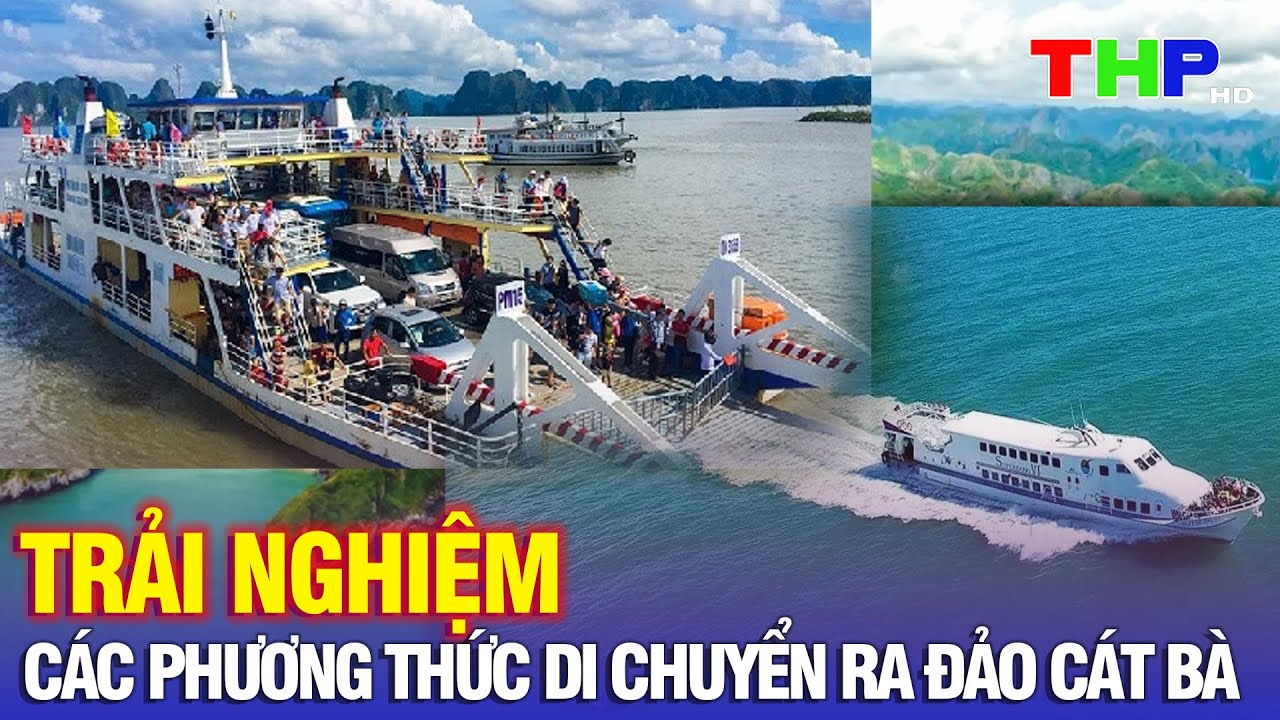 Trải nghiệm các phương thức di chuyển ra đảo Cát Bà | Du lịch Hải Phòng