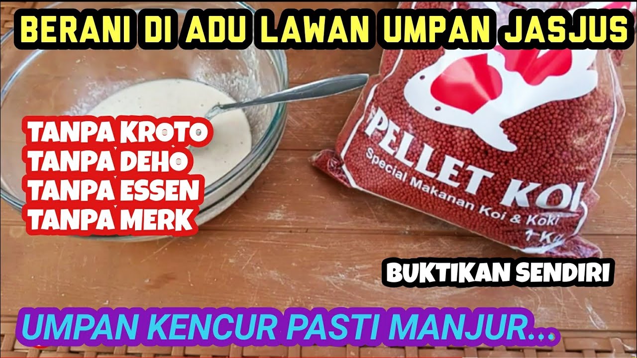 UMPAN IKAN MAS MEDIA PELET KOI PELET MERAH PERTAMA DI YOUTUBE
