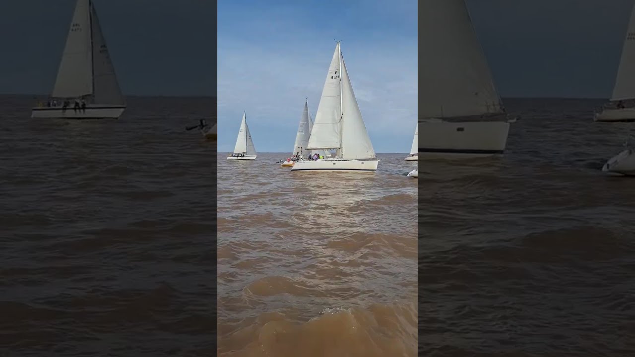 Así se vivió la Regata Katz | 24 barcos en el agua – Club Náutico Ensenada