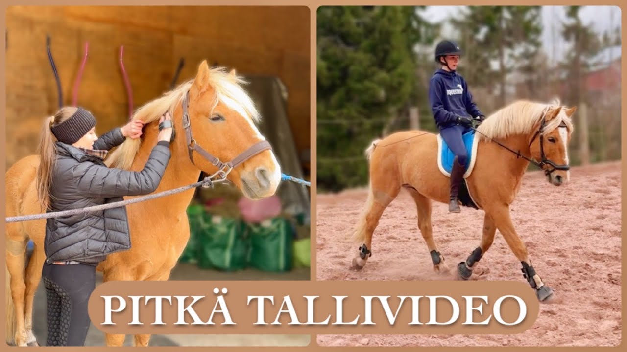 PITKÄ TALLIVIDEO TUISKUN KANSSA❤️