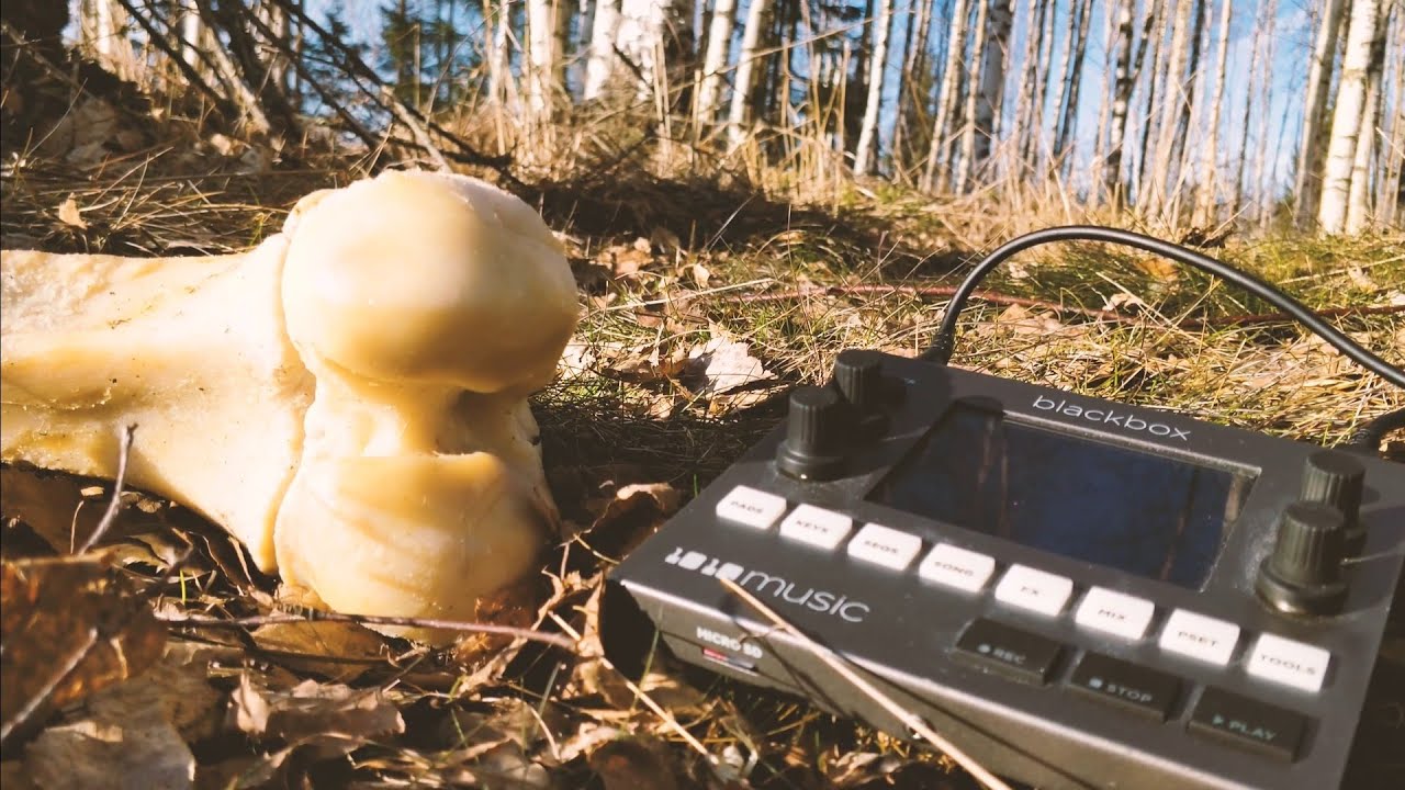 1010music Blackbox and Exploring the Backwaters