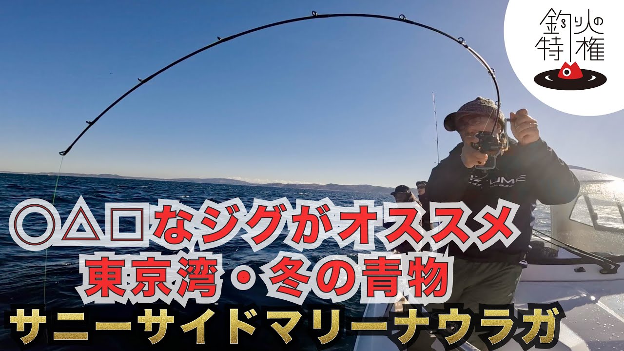 大物！東京湾青物ジギング！◯△□なジグがおすすめ！ #サニーサイドマリーナウラガ