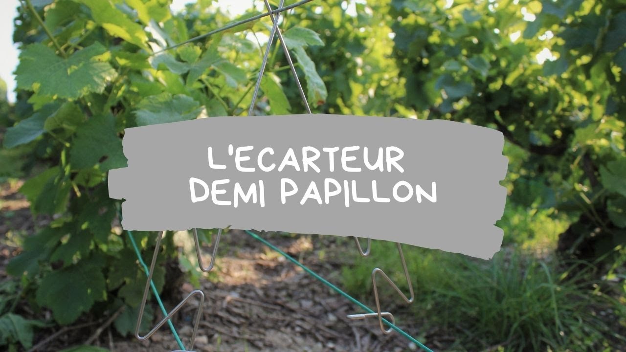 L’ÉCARTEUR DEMI PAPILLON