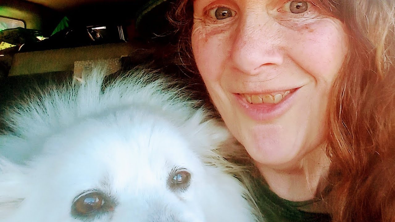 Frankly, my dear patrons, I give Every Damn Necessary #BreakingBrilliant #BongoNaked #SocraticImprov