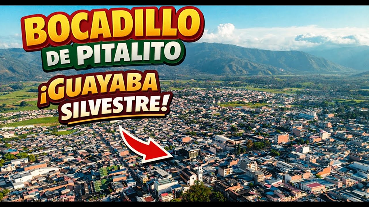 El bocadillo de Pitalito: sabor que nace de la guayaba.