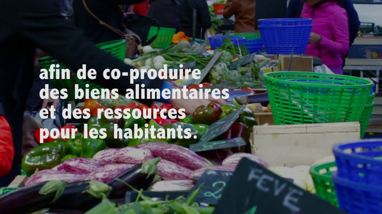 Territorialisation de l'agriculture