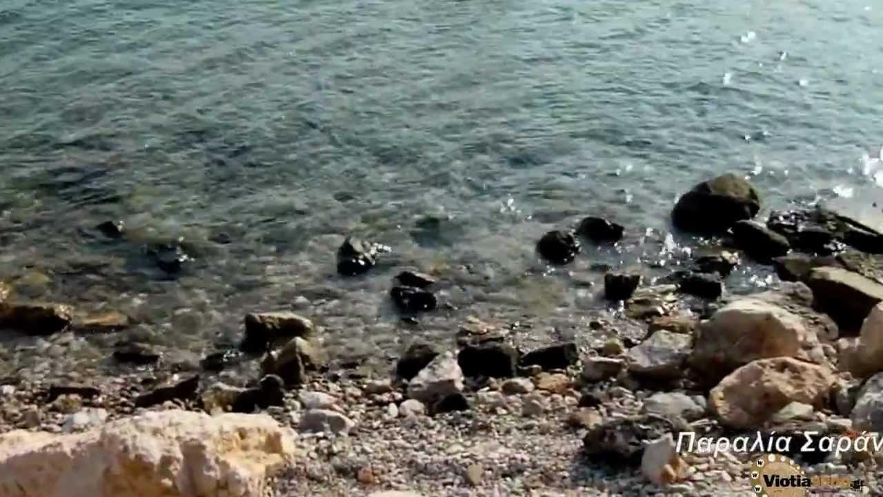 &Sigma;&alpha;&rho;ά&nu;&tau;&iota; &Beta;&omicron;&iota;&omega;&tau;ί&alpha;&sigmaf; 2012 viotiashop
