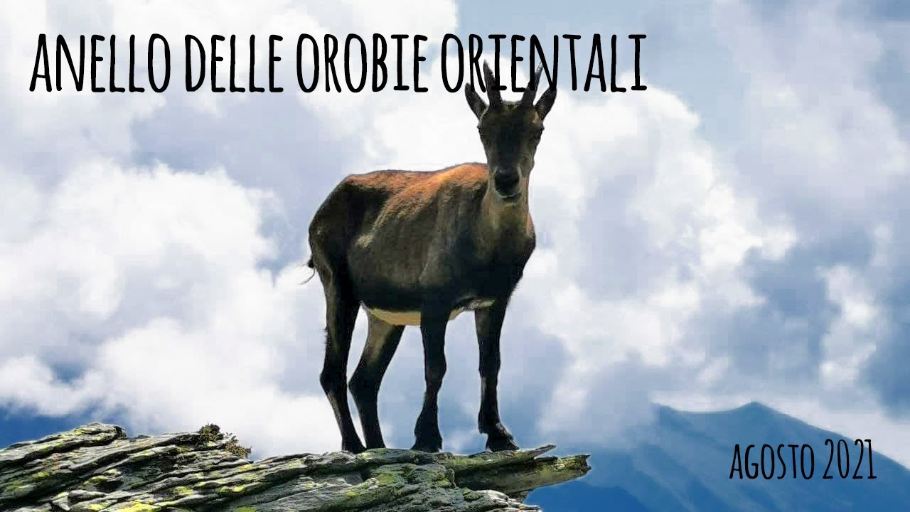 Anello delle Orobie Orientali - Agosto 2021