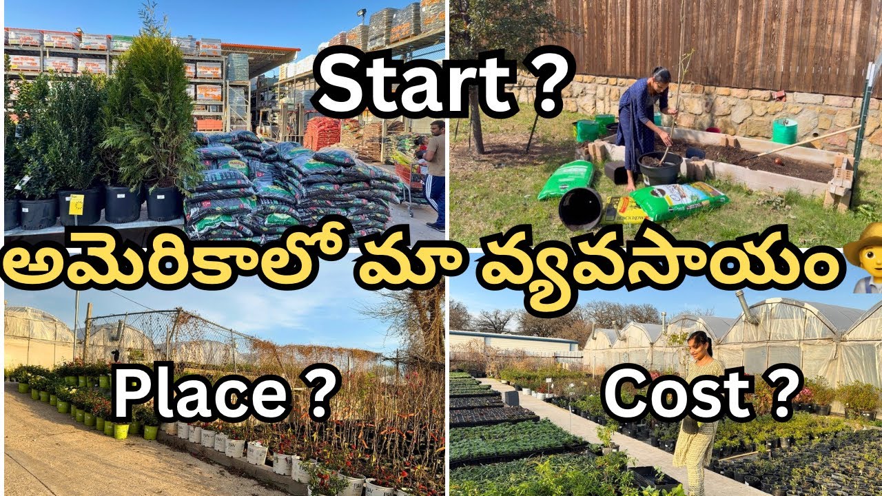 అమెరికాలో మా వ్యవసాయం🧑‍🌾 ఎంత ఖర్చు💰?ఎలా start చేయాలి? Budgetలో place🤗 || USA Telugu vlogs😍 gardening