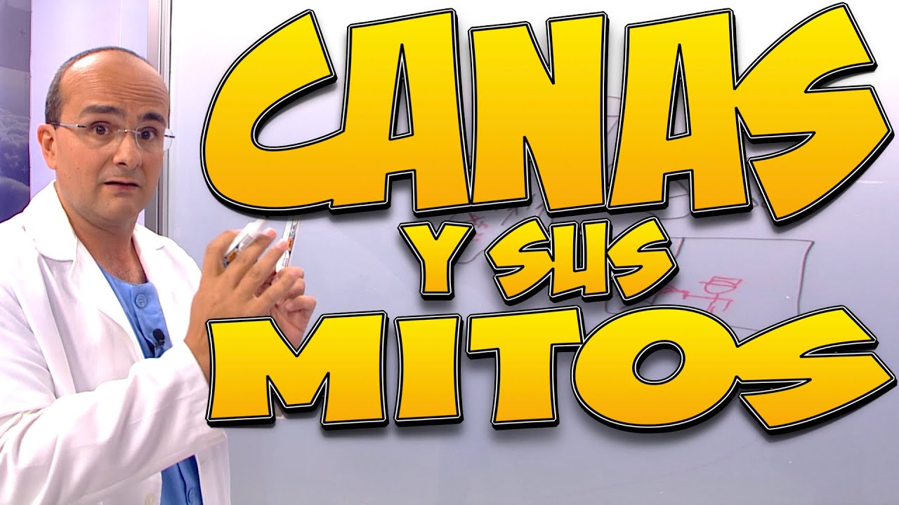 CANAS y sus MITOS, Todo lo que Necesita Saber - Cuerpo Humano #20
