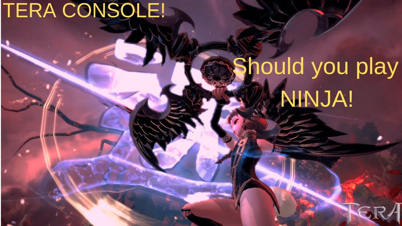 Tera - Console should you play Ninja?