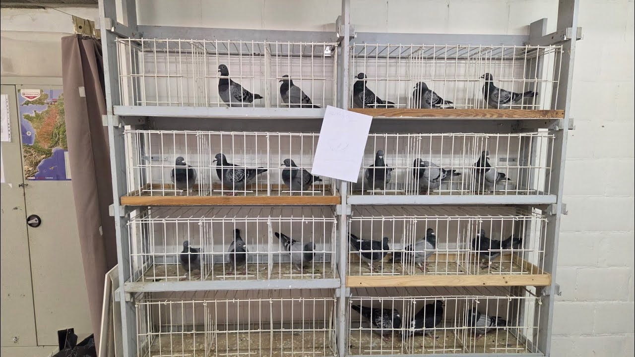 💥🙏Aukcja charytatywna w naszym klubie. 🙏💥