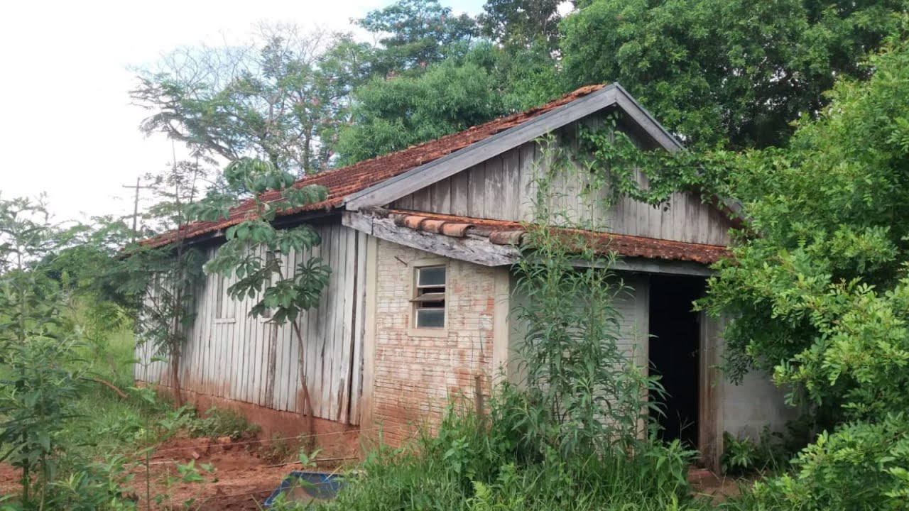 Ansião Morava Sozinho Isolado no Mato, e Por Causa de Mamonas ele Leva uma Rasteira da Vida