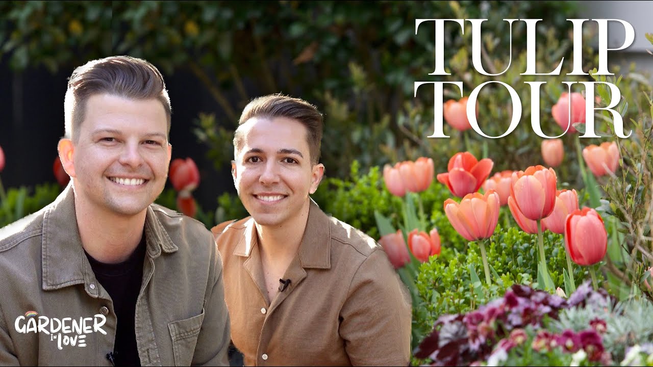 Cinematic Tulip Tour | Gardener in Love