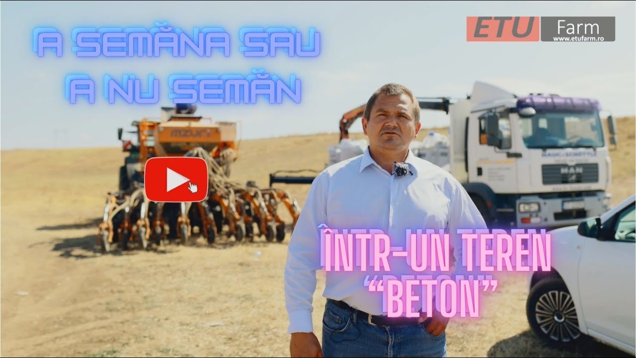 A semăna sau a nu semăna într-un teren “beton”