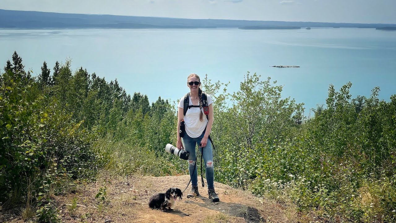 Exploring the Kenai Peninsula | Moose, Grouse, Bears, Oh My! | Alaska Roadtrip
