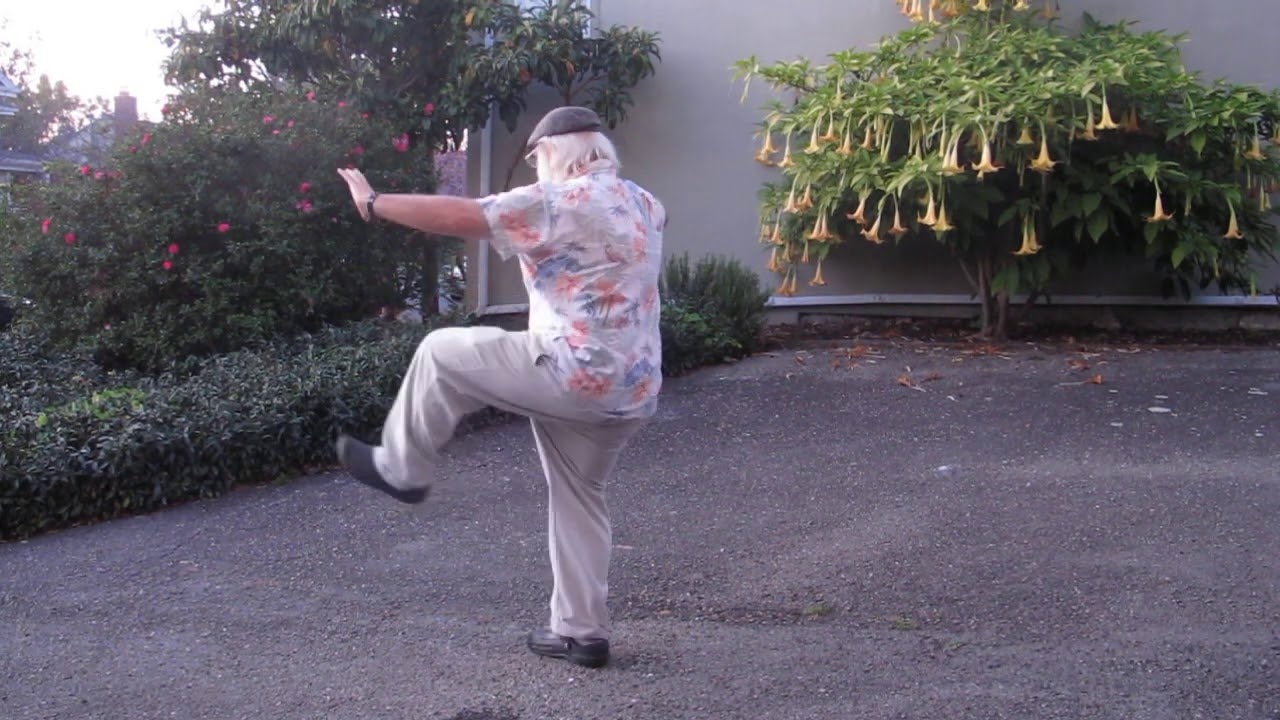 Brian O'Dea leads Chen Man Ching's Yang short form (w/ verbal instructions) (Spring 2020)