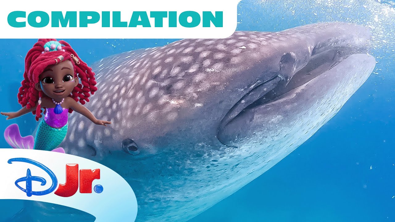 Disney Animals: Under the Sea with Ariel🧜🏾‍♀️ | Compilation | Sharks Turtles & MORE | 