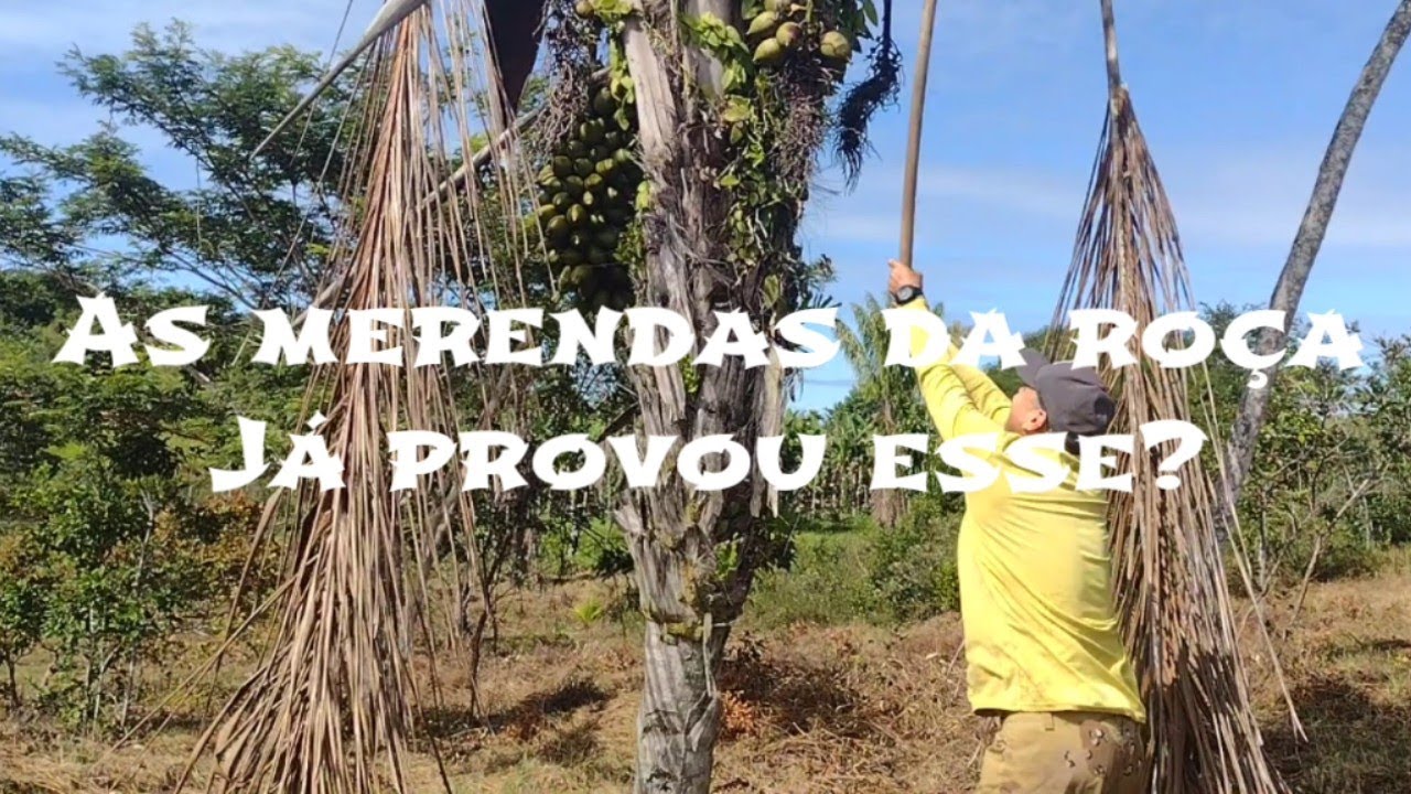 C&Ocirc;CO de PIA&Ccedil;AVA, marido experimentou pela primeira vez  #cocodepia&ccedil;ava #sitiodozero