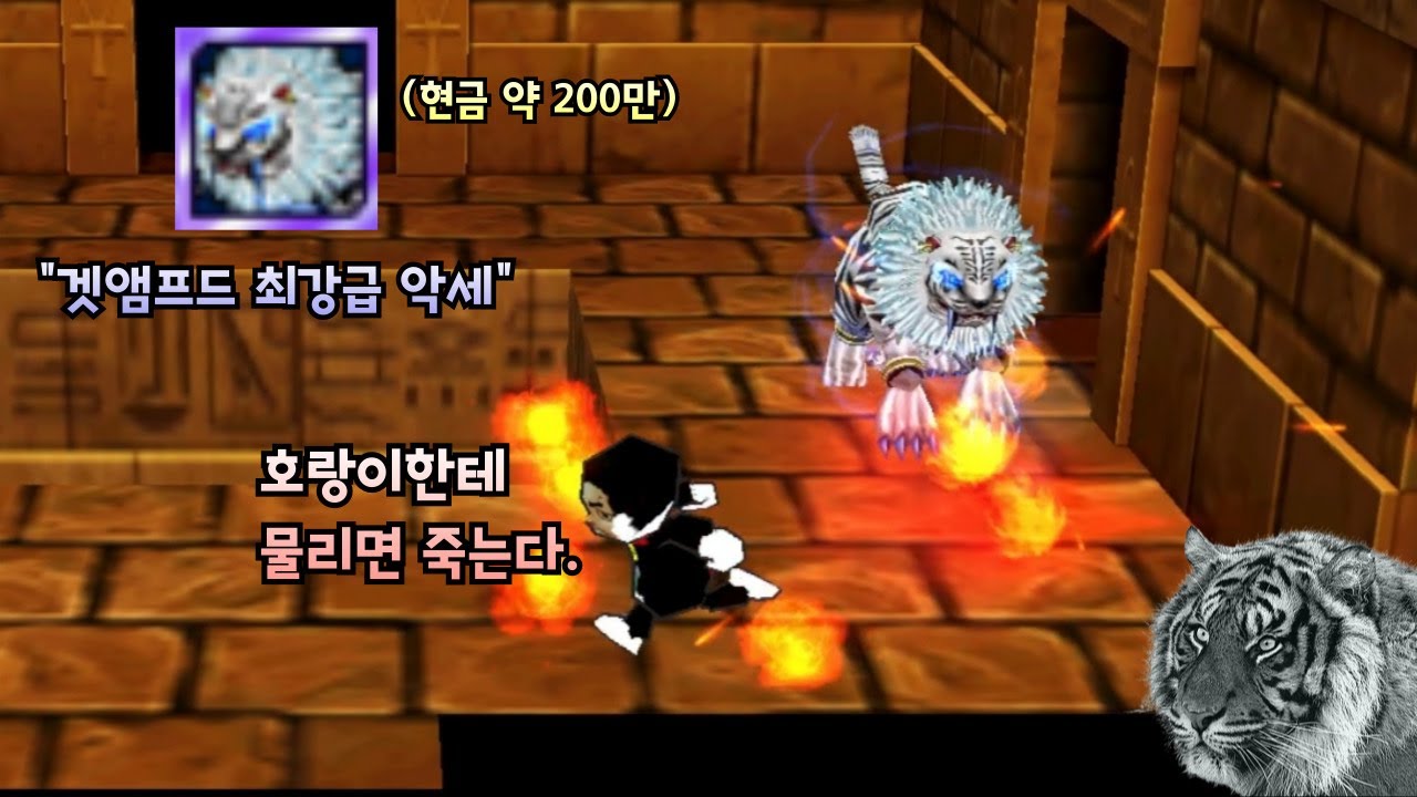 호랑이한테 물려가면 정신 차려도 못 산다.