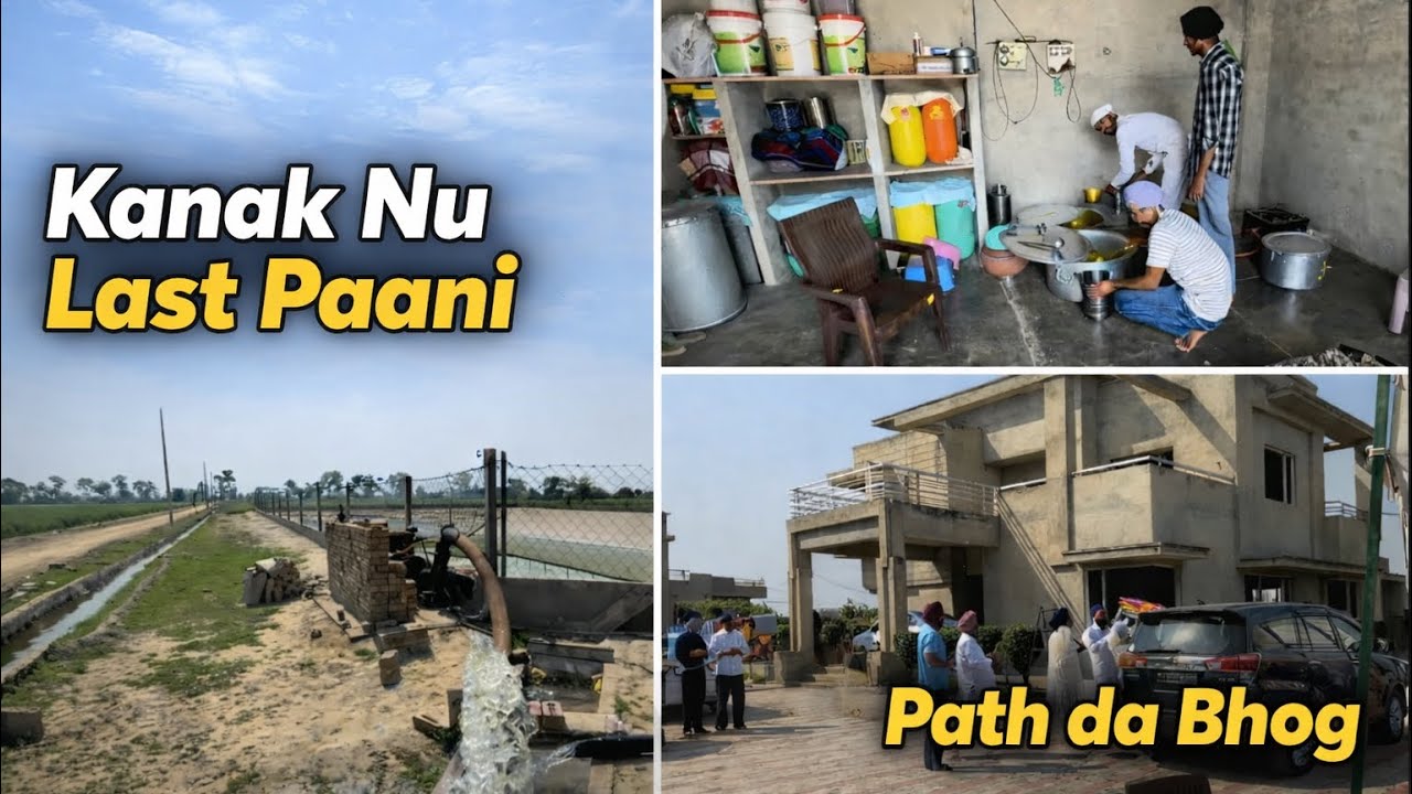 Kanak Nu Laya Last Paani // Path Da Bhog Taye K ||Aonkar Brar #newvlog #farming 