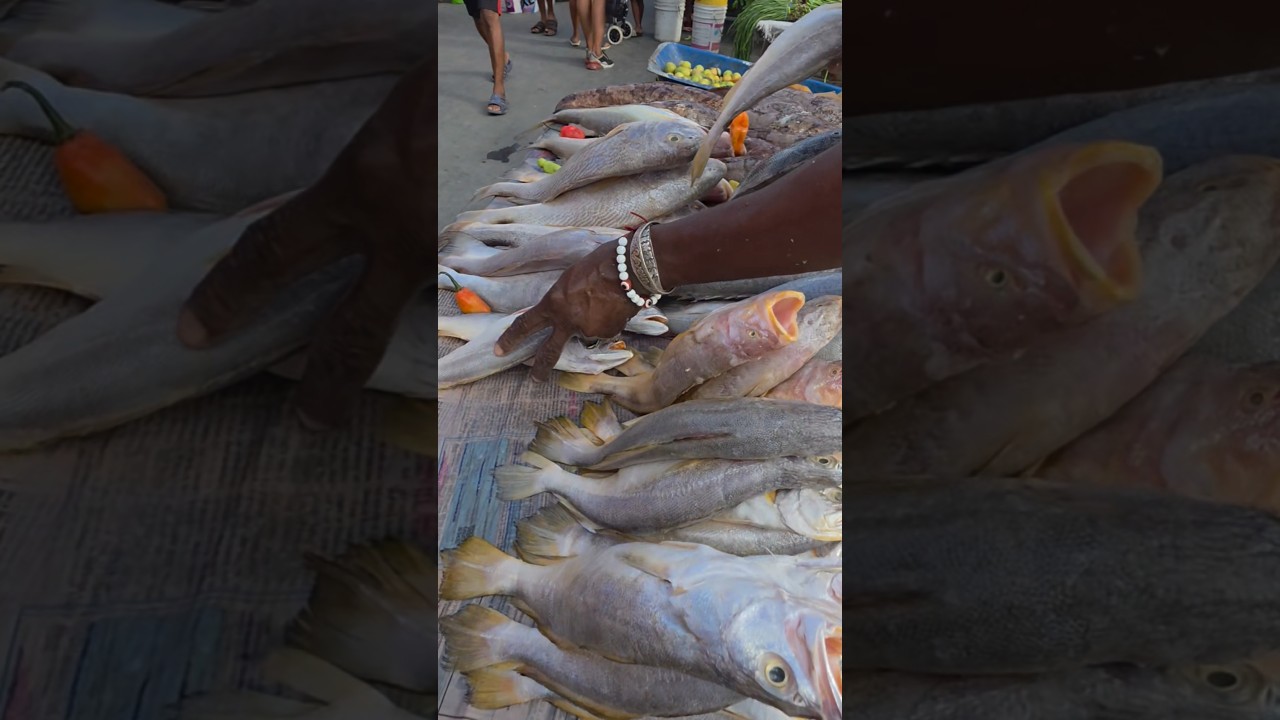OneFishBoss Taking Over the Market | Fresh Fish, Real Support, Big Crowd