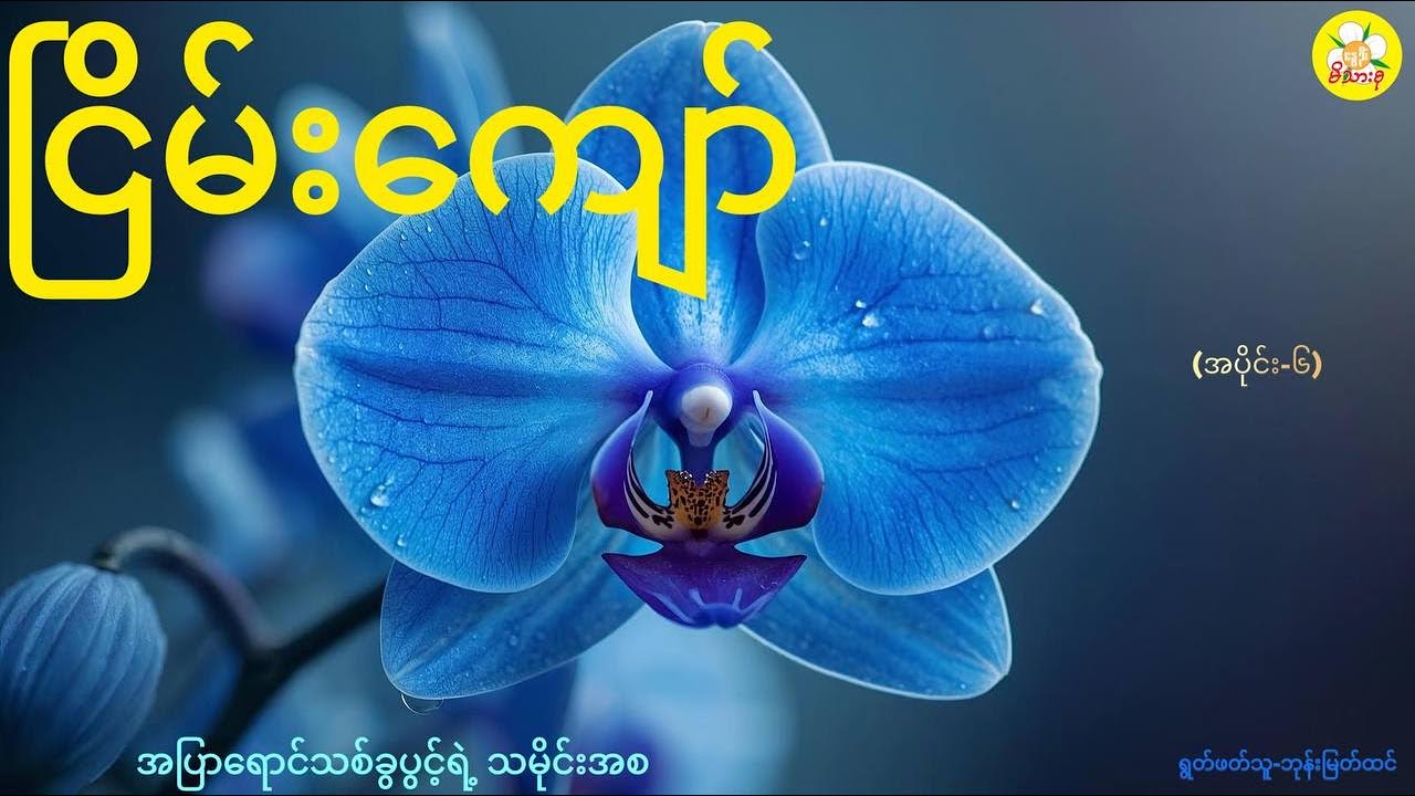 ငြိမ်းကျော်၊အပြာရောင်သစ်ခွပွင့်ရဲ့ သမိုင်းအစ(အပိုင်း-၆)