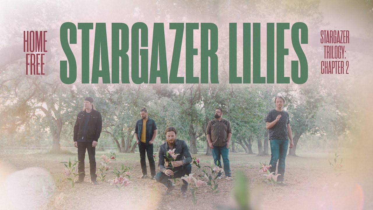 Home Free - Stargazer Lilies