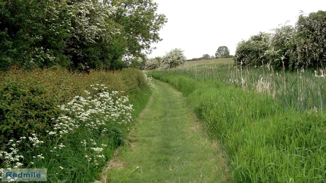 Grantham Canal - Spring 2013