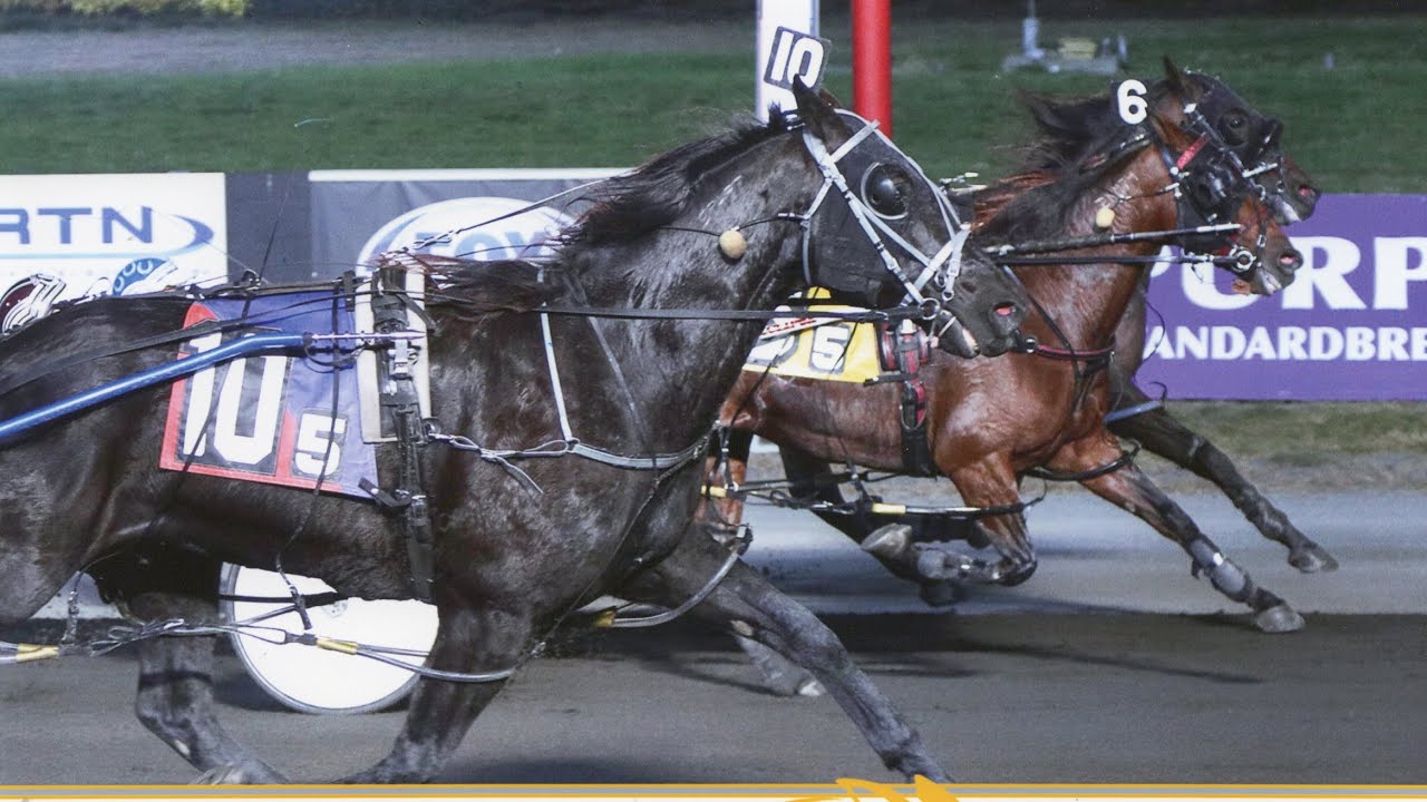 MACHLICIOUS - MADC Pace - Meadowlands - November 9, 2024