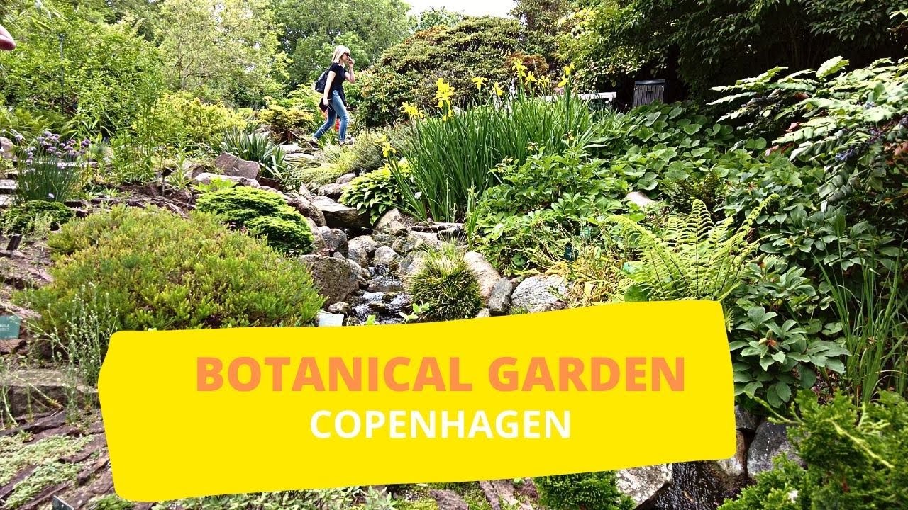 BOTANICAL GARDEN WALKING TOUR | COPENHAGEN