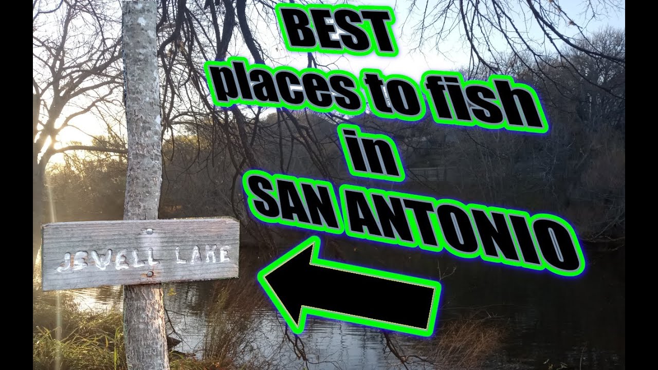 Top 5 Places for Bass Fishing in San Antonio