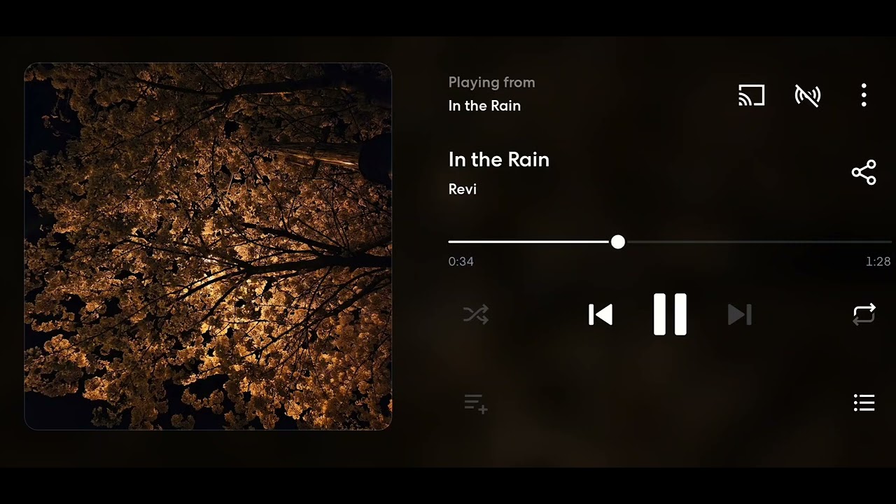 In the Rain (Demo)