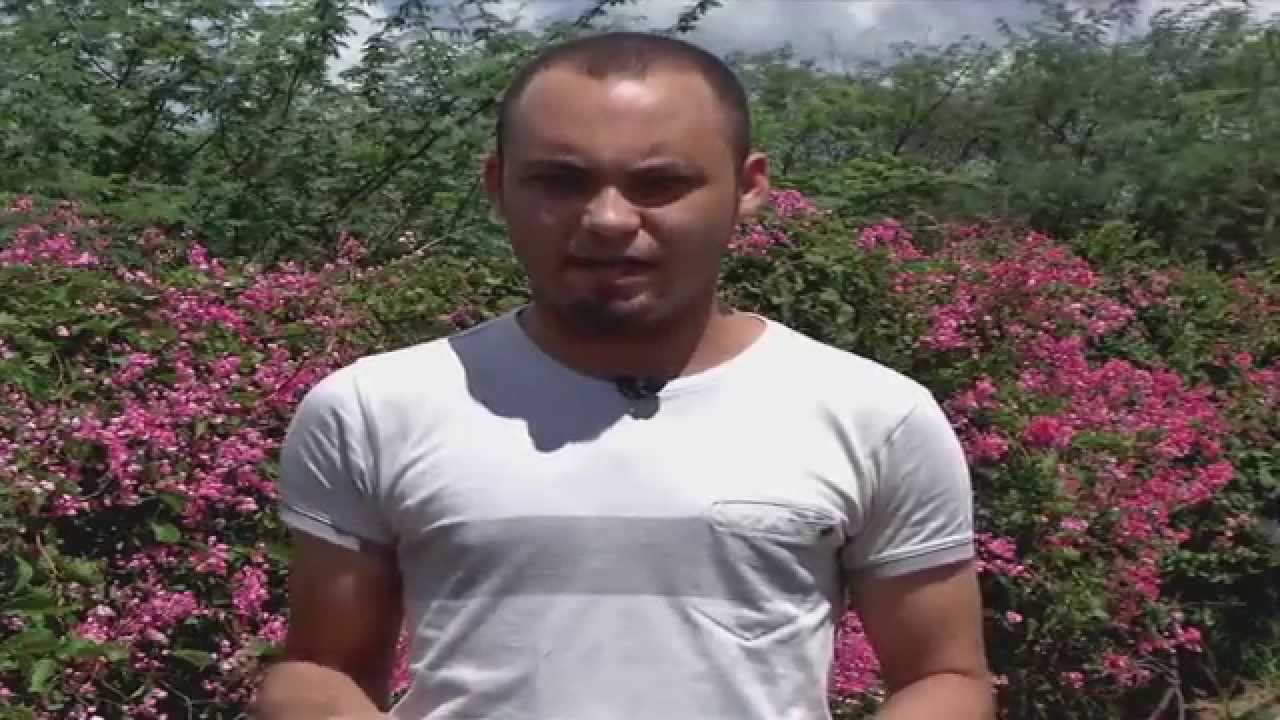 Plantas nativas da caatinga favorecem produção de mel artesanal - Jornal Futura -Canal Futura
