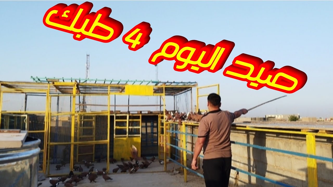 صيد اليوم 4 طبك 19/6/2025