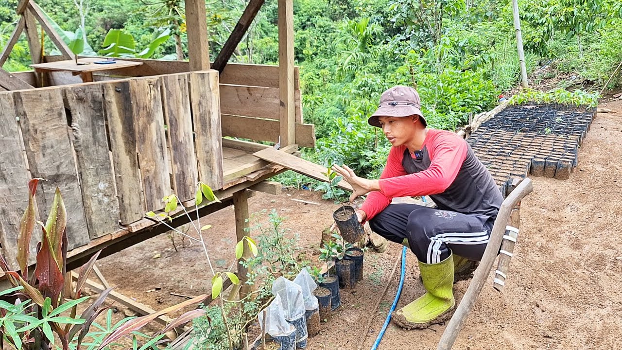 Ahirnya, Setelah 100 Hari Berhasil, Kehidupan Nyata sendiri Dihutan