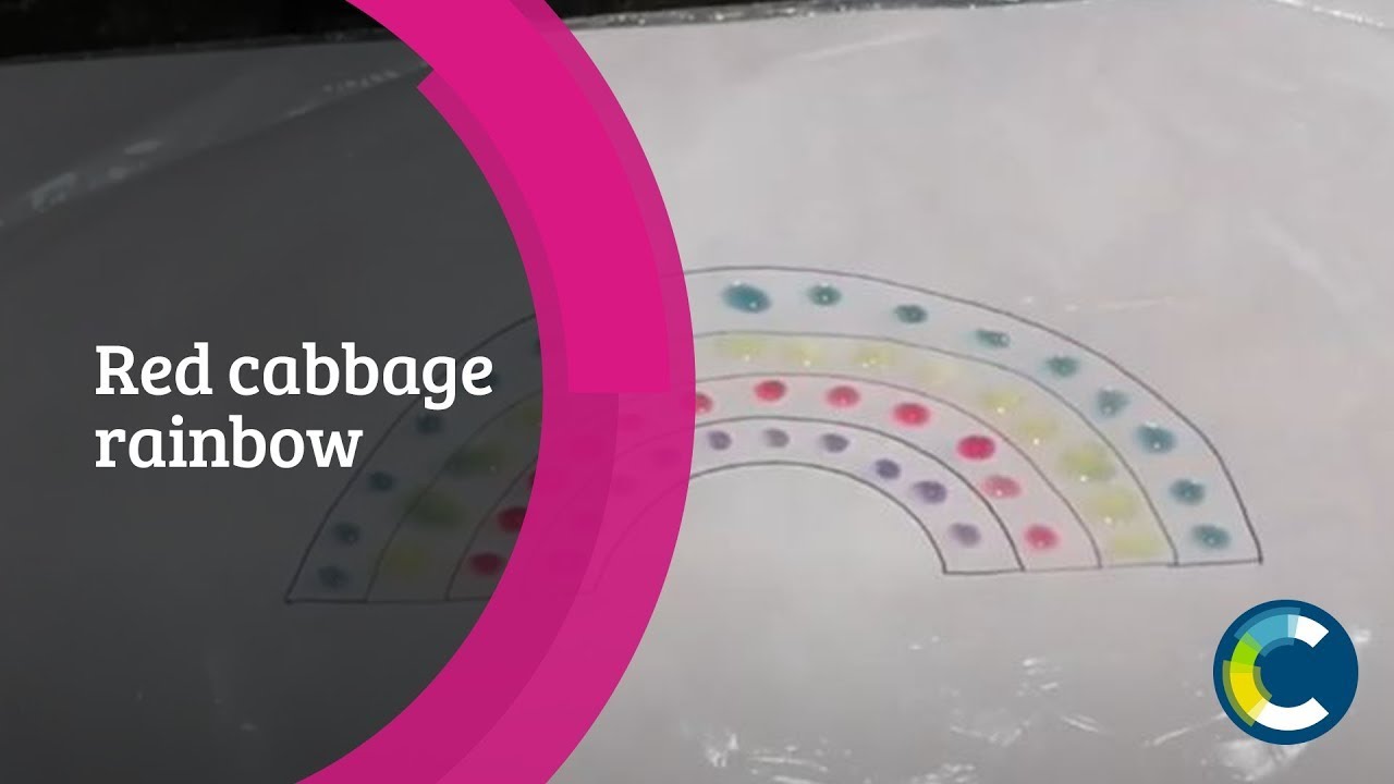 Red Cabbage Rainbows - #ChemistryInYourCupboard