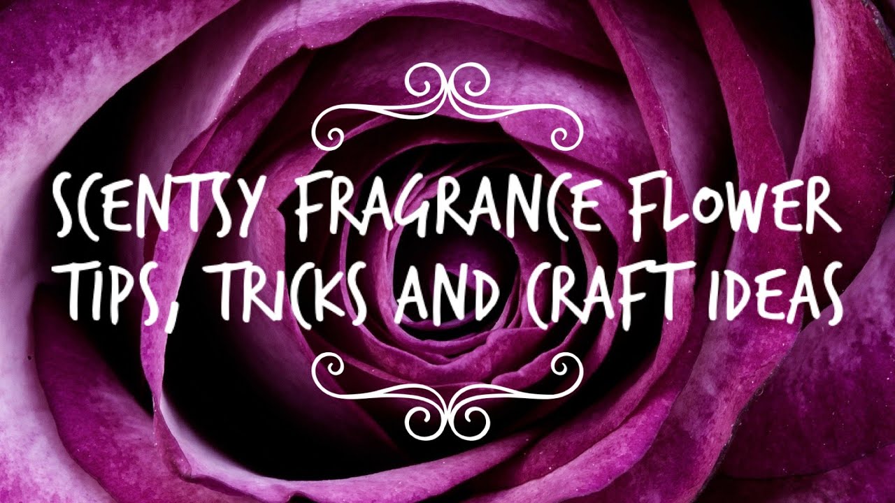 Scentsy fragrance flower tips, tricks and craft ideas!