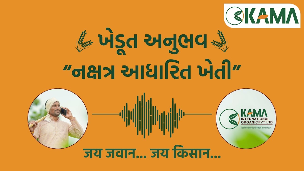 ખેડૂત મિત્રો ખાસ જુવો નક્ષત્ર આધારિત ખેતી ખેડૂત અનુભવ II ખેતી ખર્ચે ઘટાડી ઉત્પાદન વધારો આ ટેક્નિક
