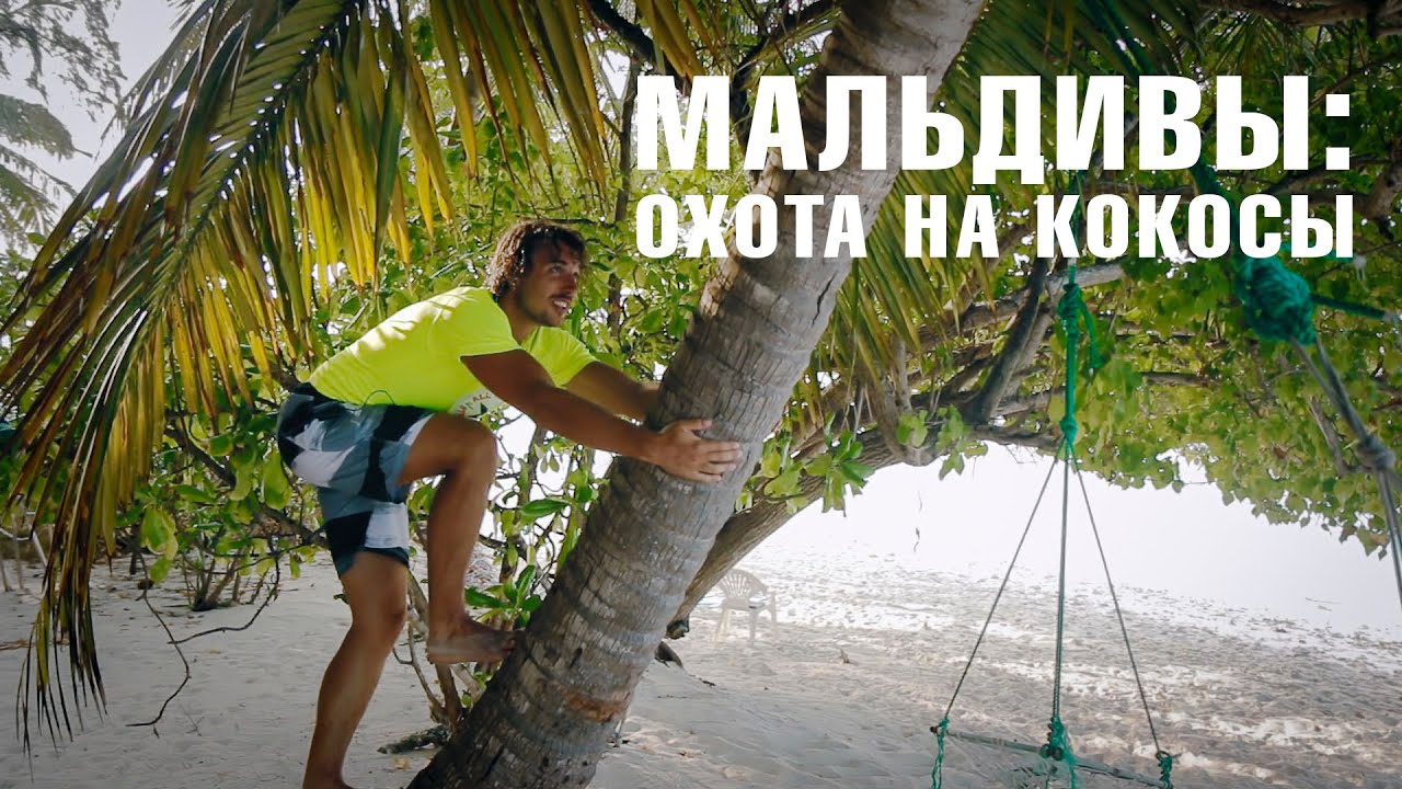 ОТДЫХ НА МАЛЬДИВАХ | кокосовая ферма - как выбрать и открыть кокос