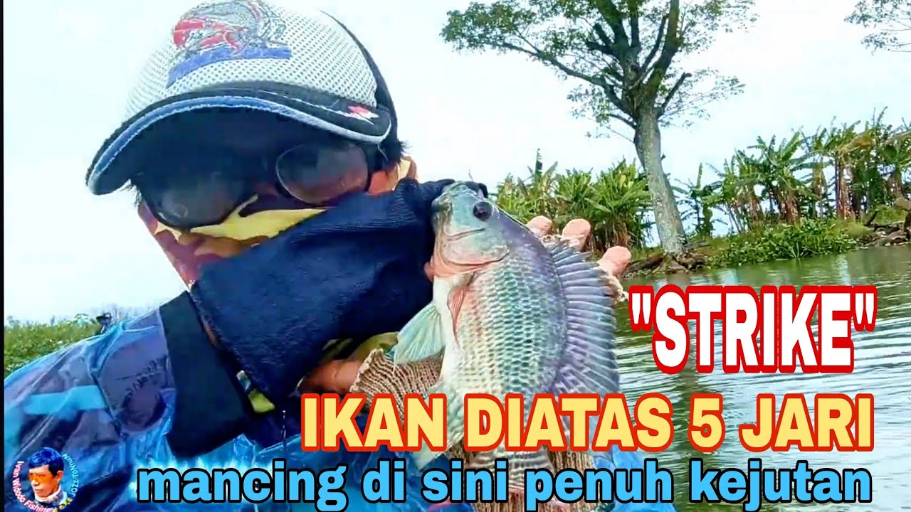 NEKAT MANCING ‼️ DAPAT KEJUTAN 