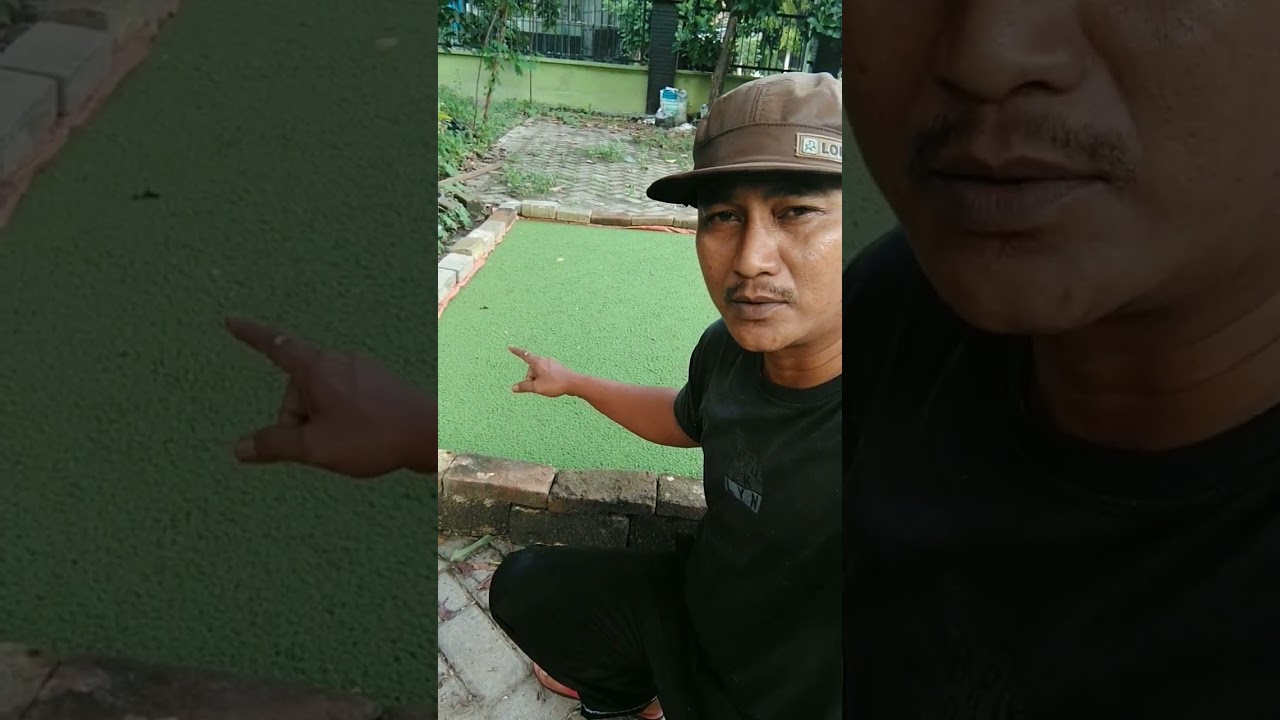 pagi dipanen sore udah nutup lagi 