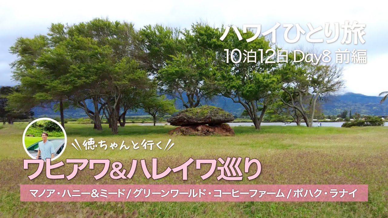 【ハワイひとり旅10泊12日】Day8前編 │ 徳ちゃんと巡るワヒアワ＆ハレイワ │ マノア ハニー＆ミード │ グリーンワールドコーヒーファーム │ 大谷くんも訪れたあの場所│Hawaii Vlog
