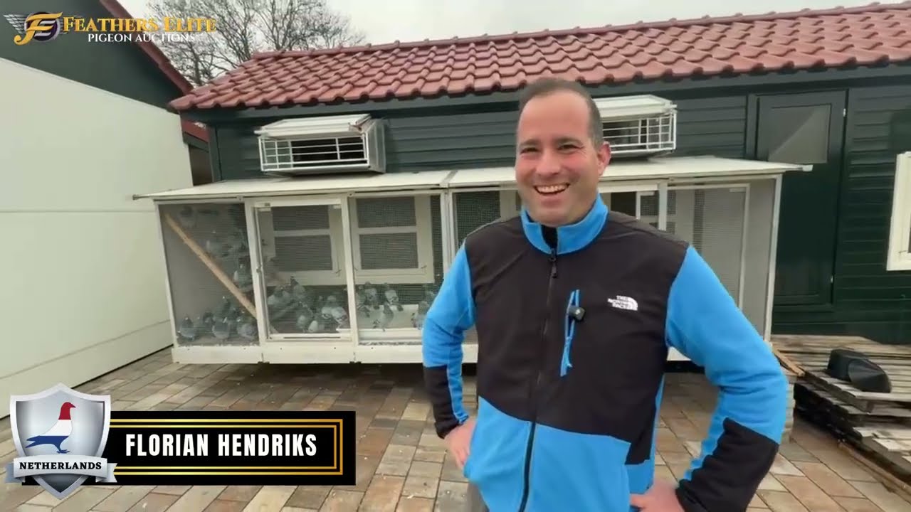 Jo & Florian Hendriks: Behind the Doors of a Champion Loft