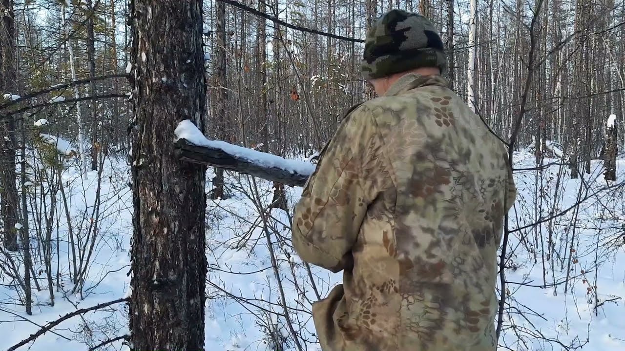 Объезд путиков. Проверяем капканы