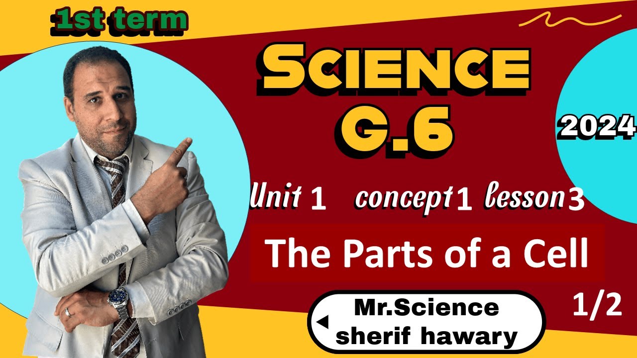 Parts Of The Cell | Grade 6 | Unit 1 - Concept 1 - Lesson 3- Part1/2| Science  ساينس 6 المنهج الجديد