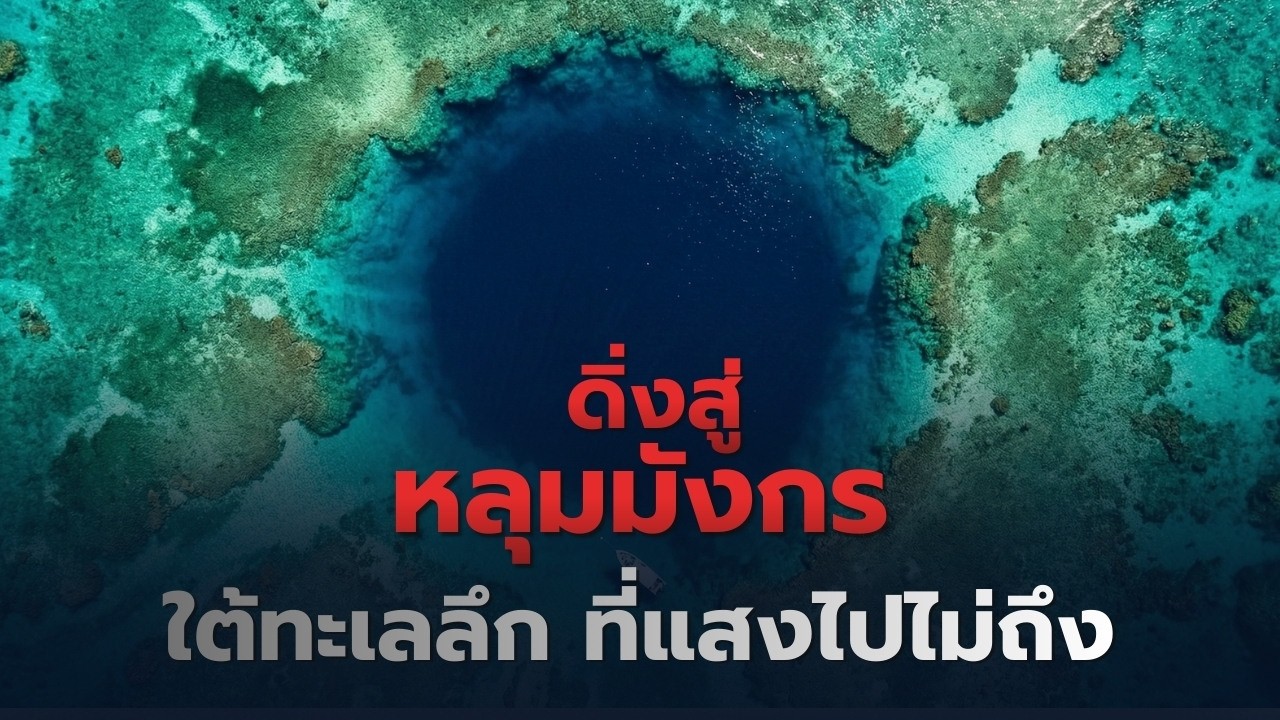 เจาะลึกหลุมมังกร ค้นพบไวรัสปริศนา 1,700 ชนิดใต้ความลึก 300 เมตร