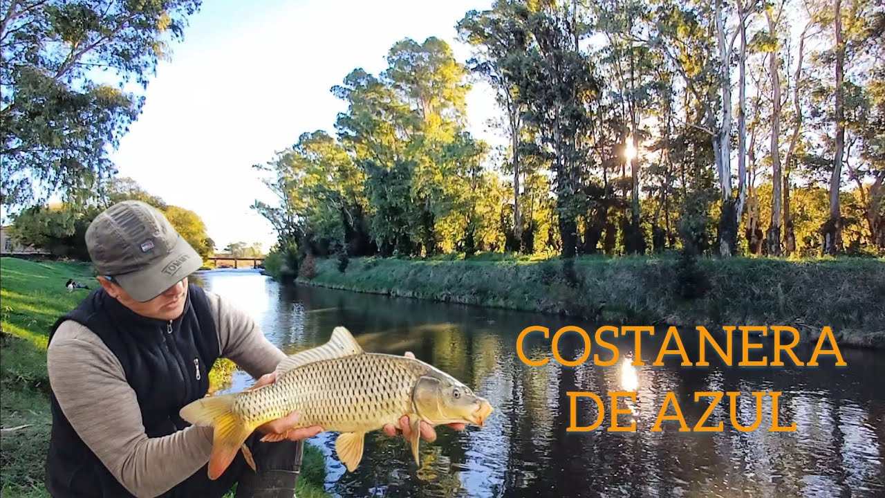 Pesca y naturaleza. COSTANERA de la ciudad de Azul. Carpas, dentudos, viejas de agua y más.