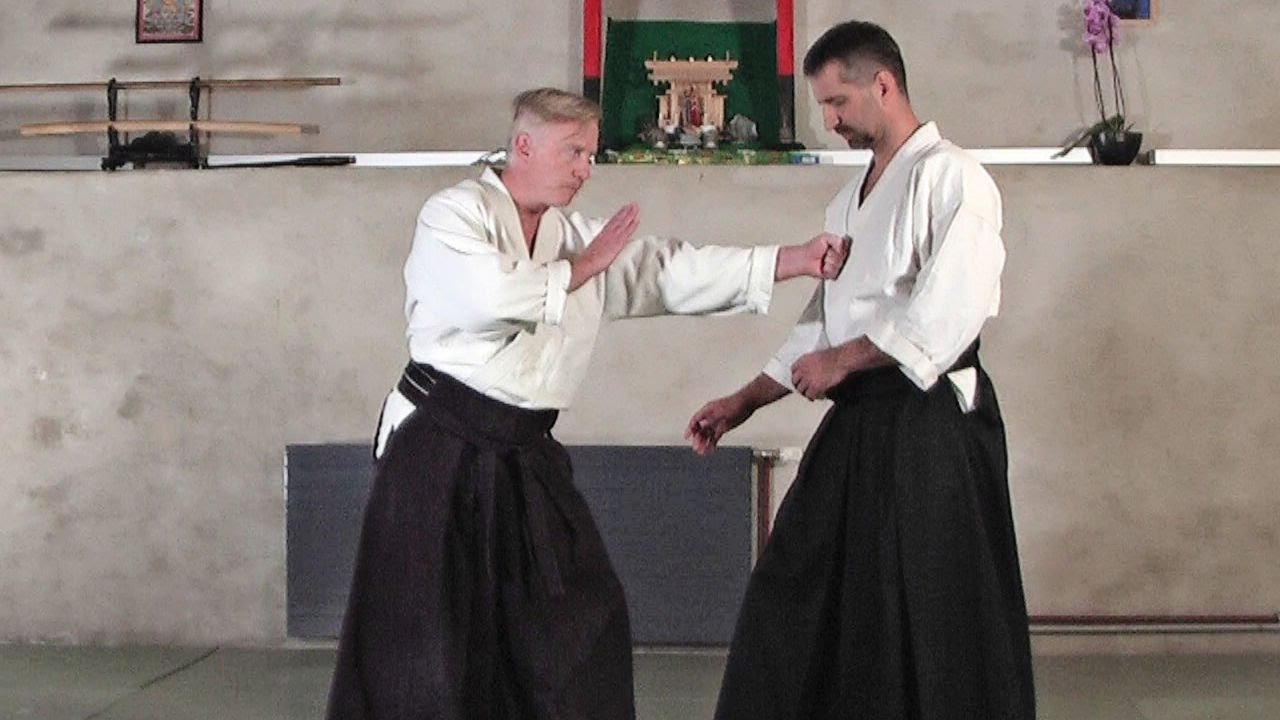 Mune-tsuki kotegaeshi - 胸突き小手返し - Aikido Virtual Dojo